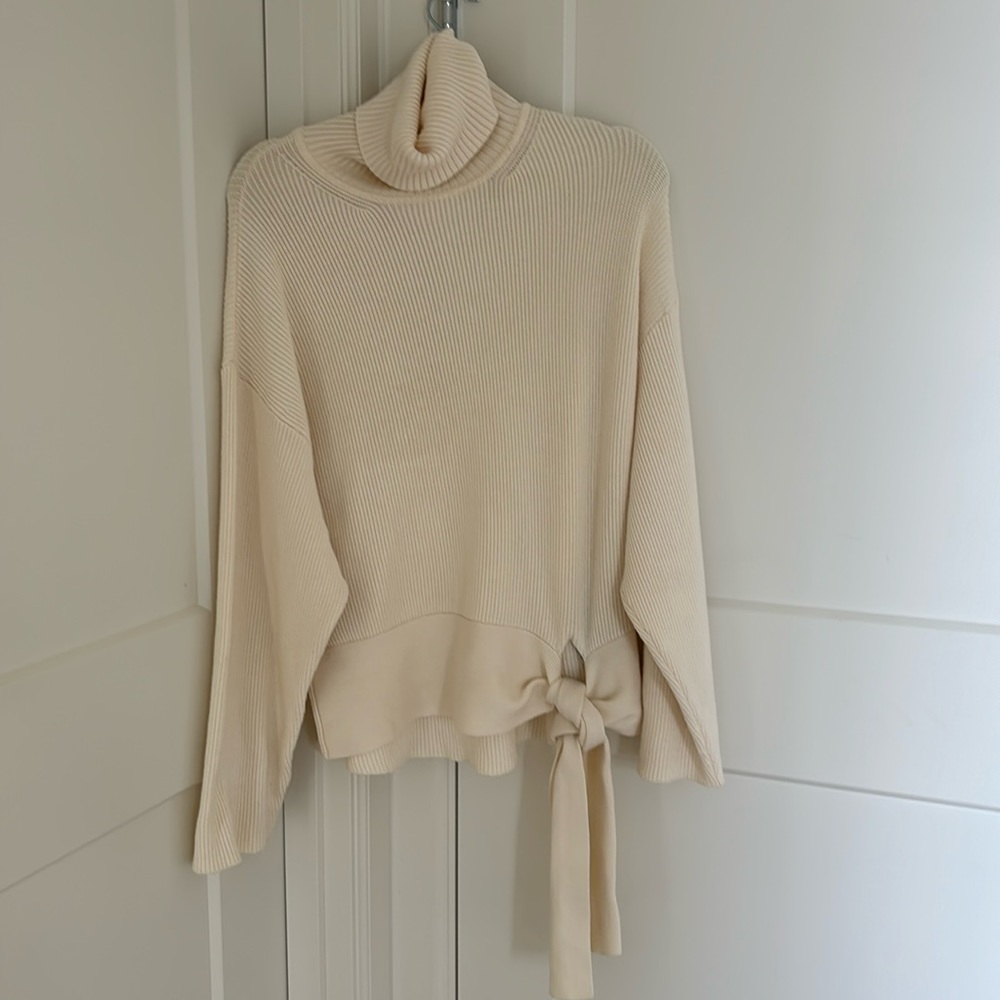 Zara oversized knit turtleneck